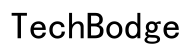TechBodge